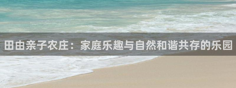 金年会网官网新版