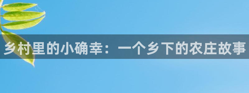 金金年会