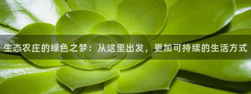 金年会官网地址