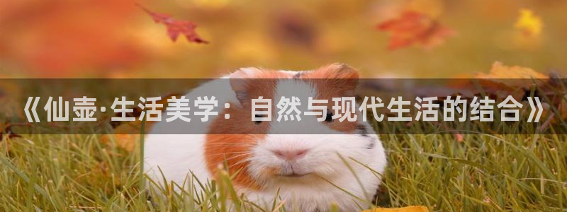 金年会体育在线入口