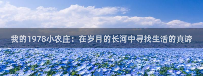 澳门与金年会的关系