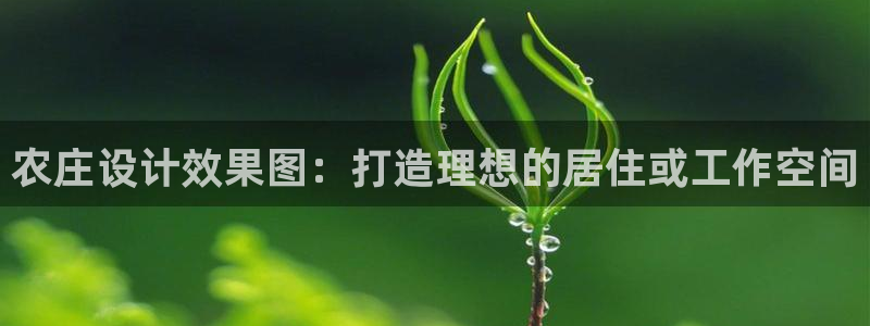 金年会娱乐提现