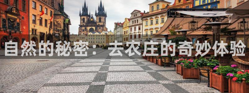 金年会平台游戏