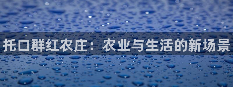 金年会注册官网