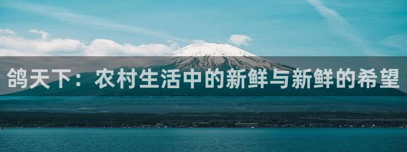金年会 金字招牌