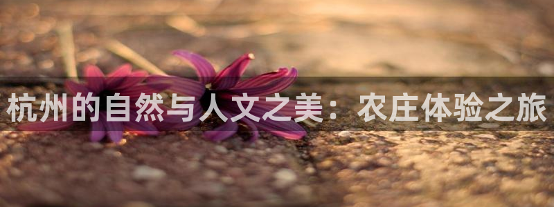 金年会综合APP