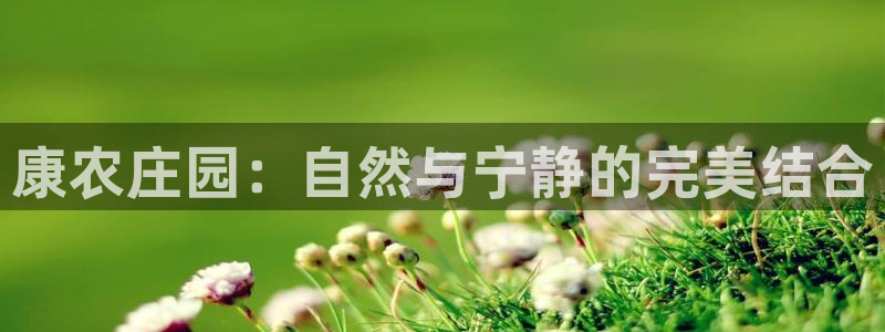 金年会赌博