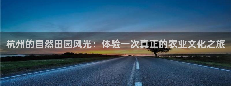 金年会平台出款