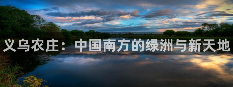 金年会电子游戏