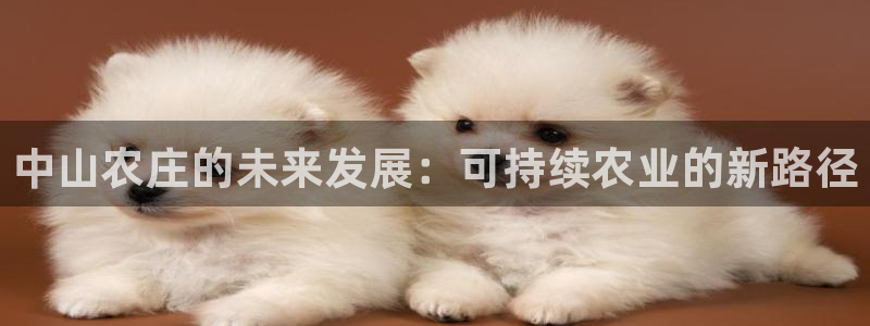 金年会手机官网