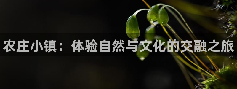 金年会平台是真的吗