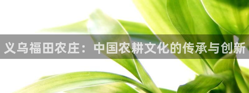 金年会娱乐下载app