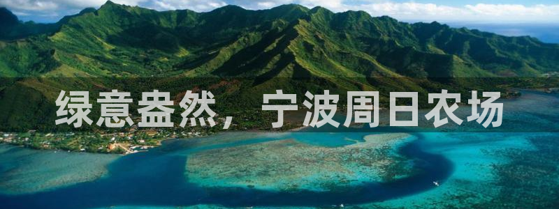 金年会平台