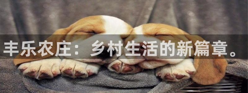 金年会 平台