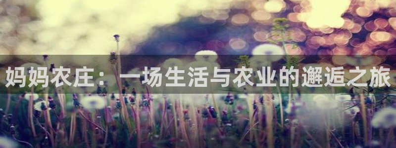 金年会
