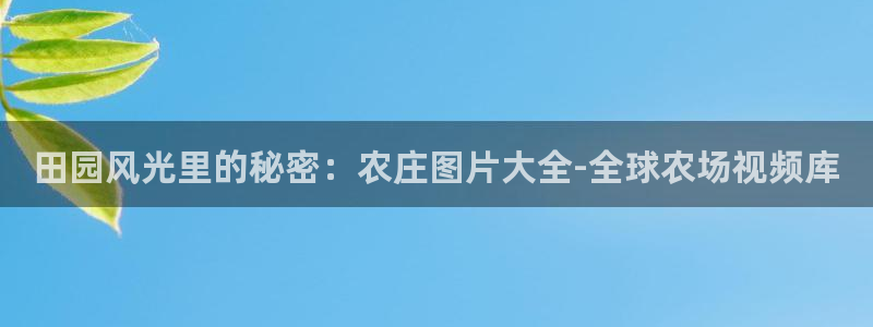 金年会电子游戏app