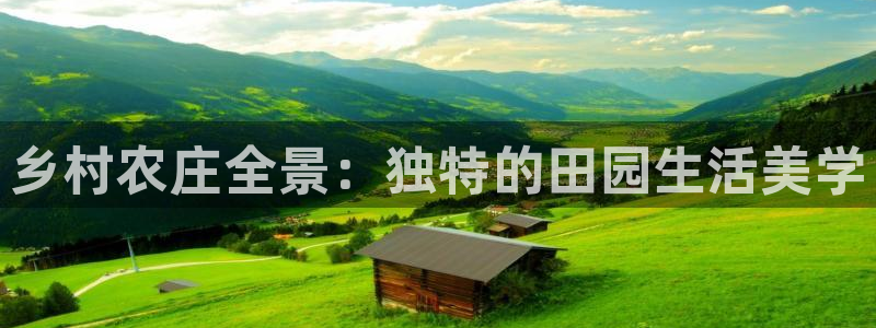 金进年会