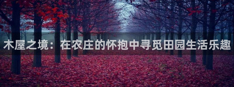 金年会金年华