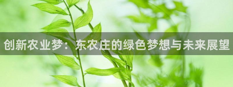 6766金年会