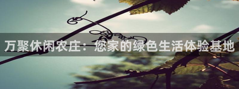 金年会推荐