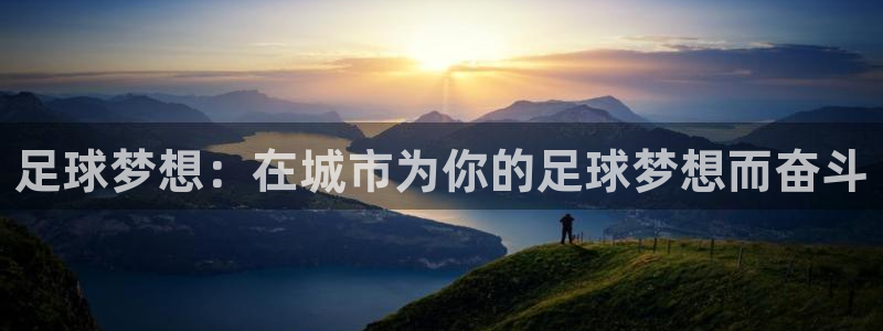 金年会登录平台入口