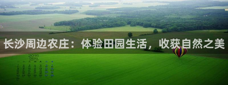 金年会娱乐下载