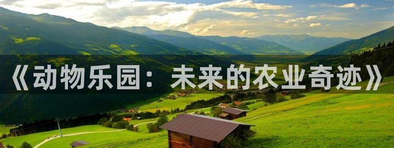 金年会体育平台