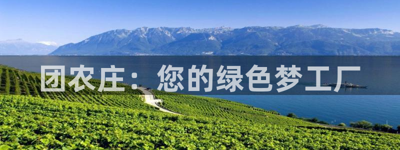 金年会体育官方下载