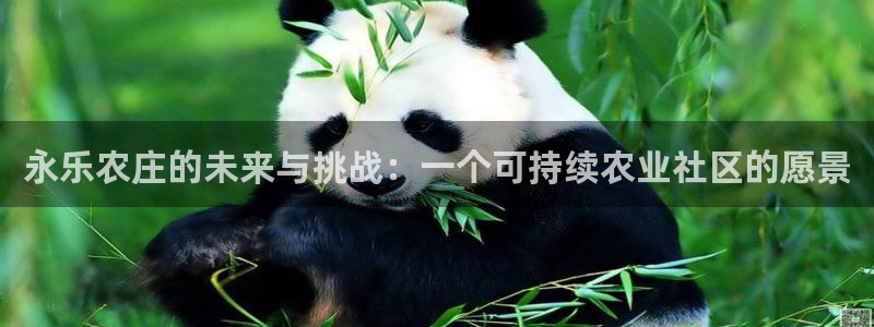 体育金年会
