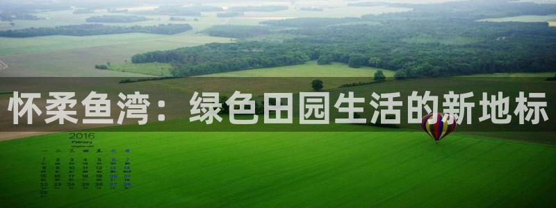 金年会体育平台