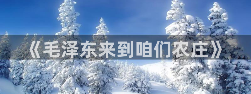 金年会手机官网