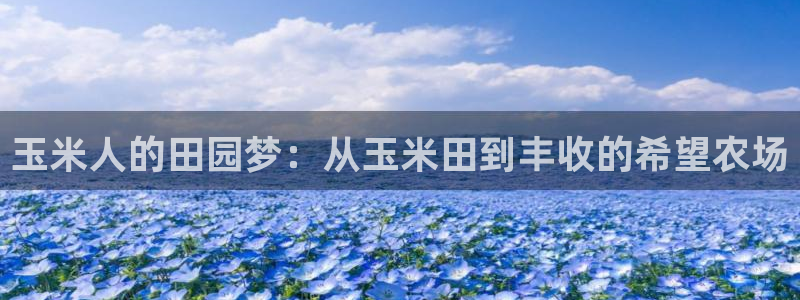 金年会官网