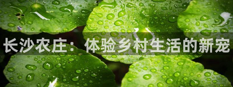 金年会金年会