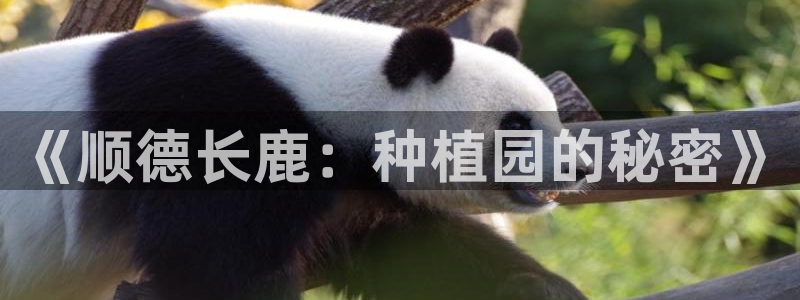 金年会 金字招牌