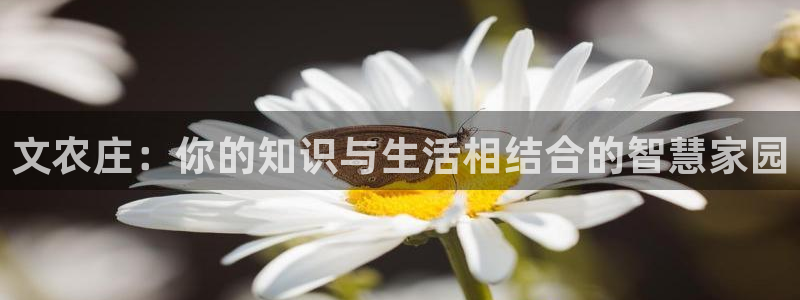 金年会取款