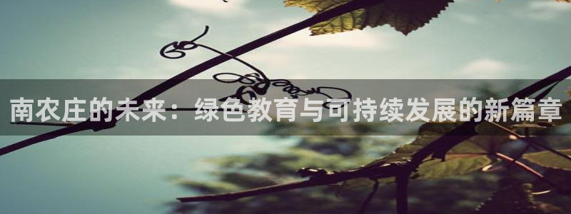 金年会平台