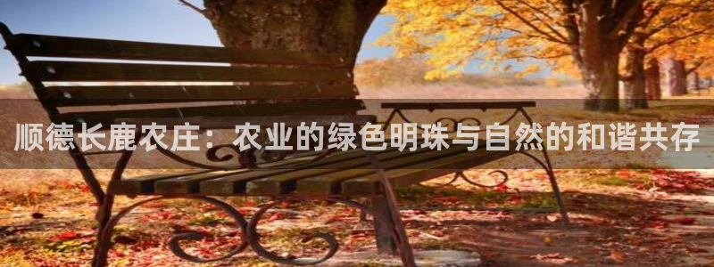 金年会娱乐官网