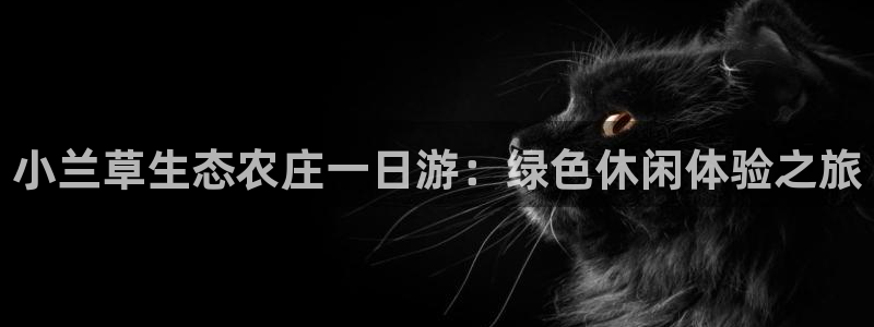 金年会101