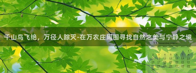 金年会是正规的吗