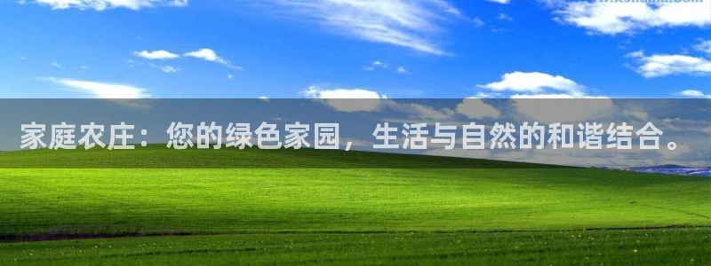 金年会彩金