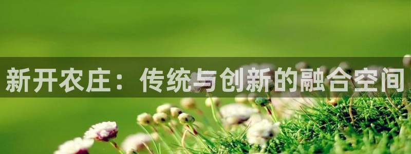 金年会娱乐app