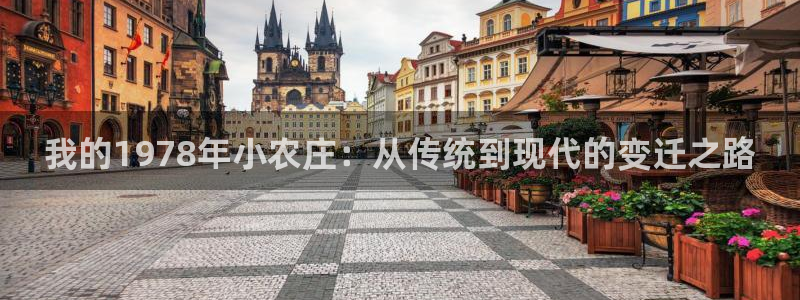 金年会体育金年会官网