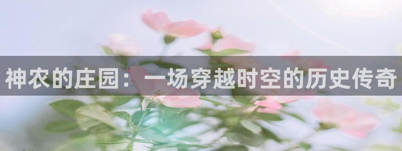 金年会 平台