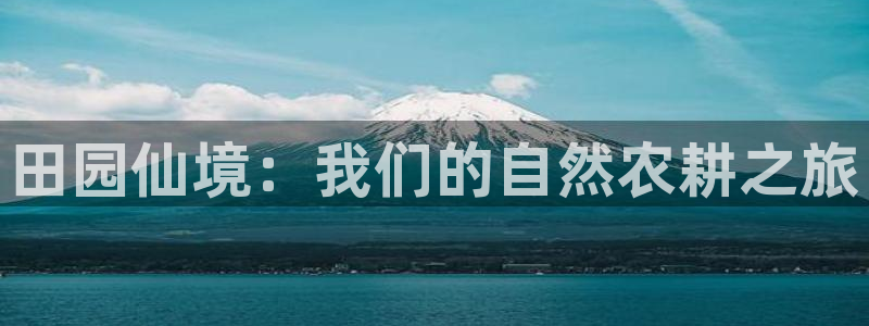 金年会网页版登陆