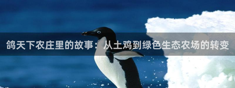 金年会黑网