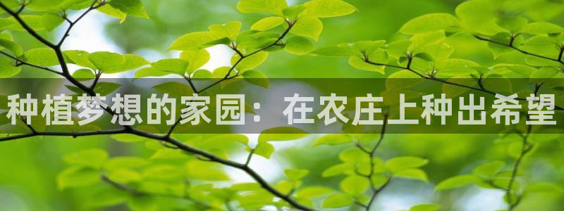 类似金年会