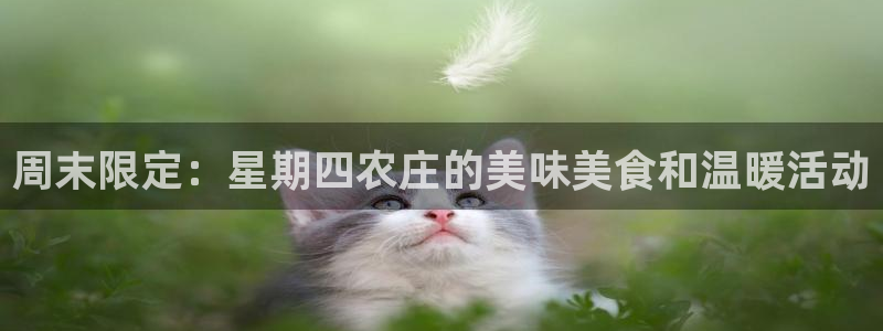 金诚集团年会