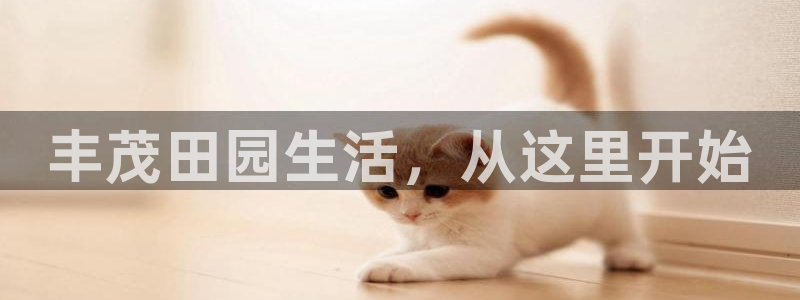 金年会金字招牌信誉