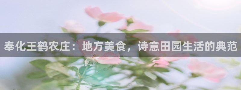 金年会娱乐官网