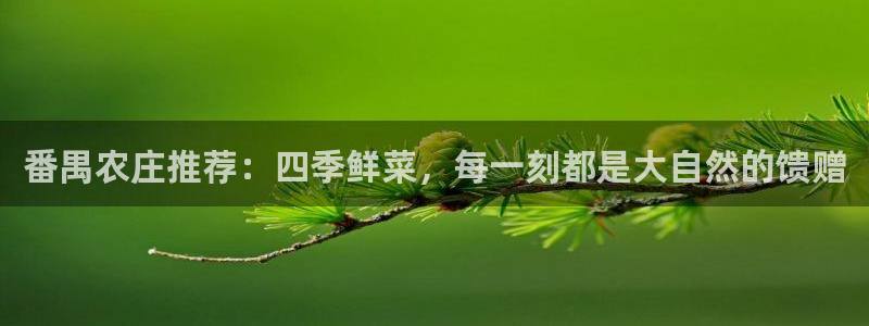 为什么搜索不了金年会